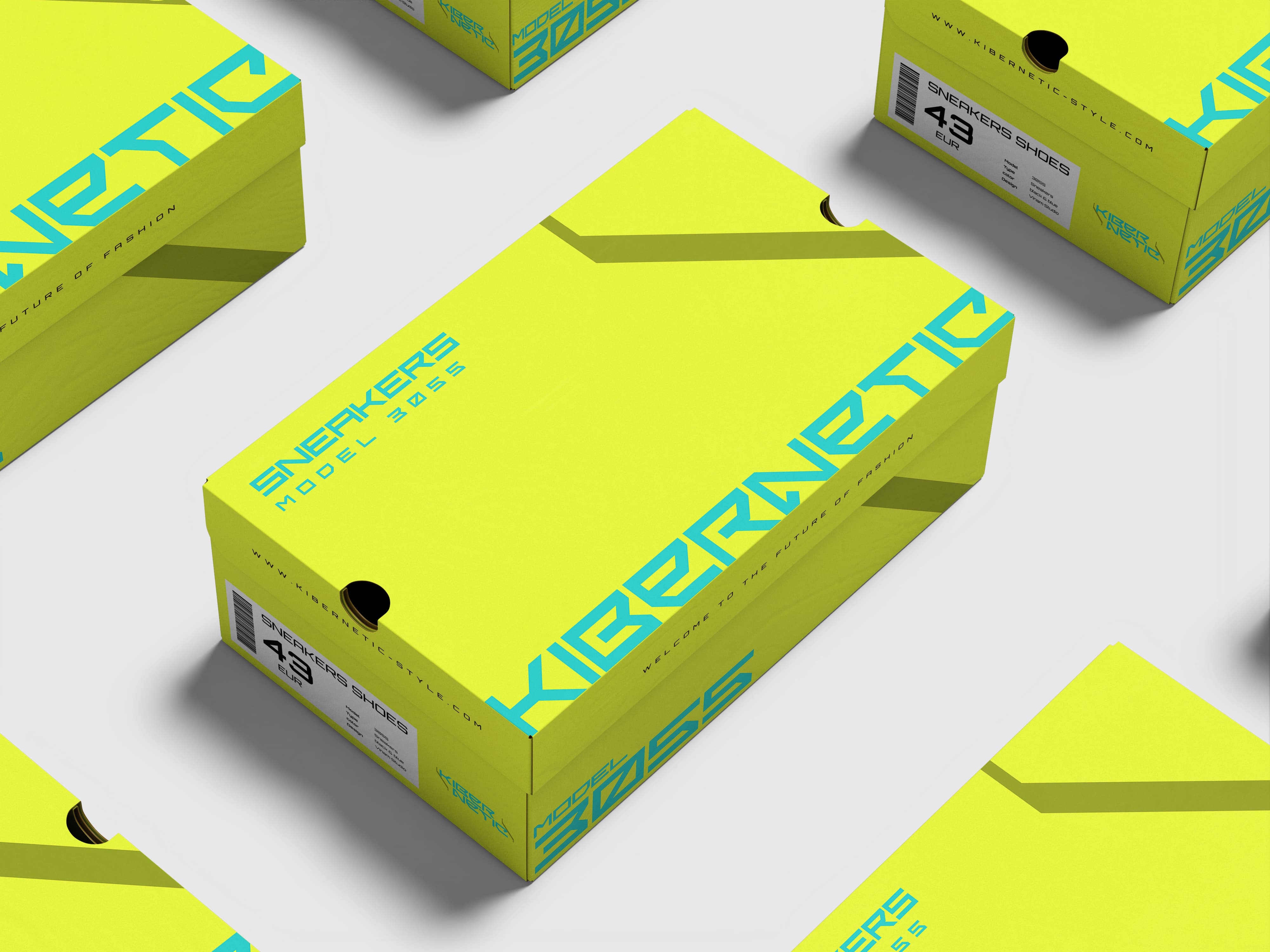 kibernetic shoes box design mockup