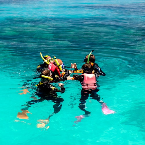 一群穿著色彩繽紛浮潛裝備的人聚集在清澈的碧綠水域中。