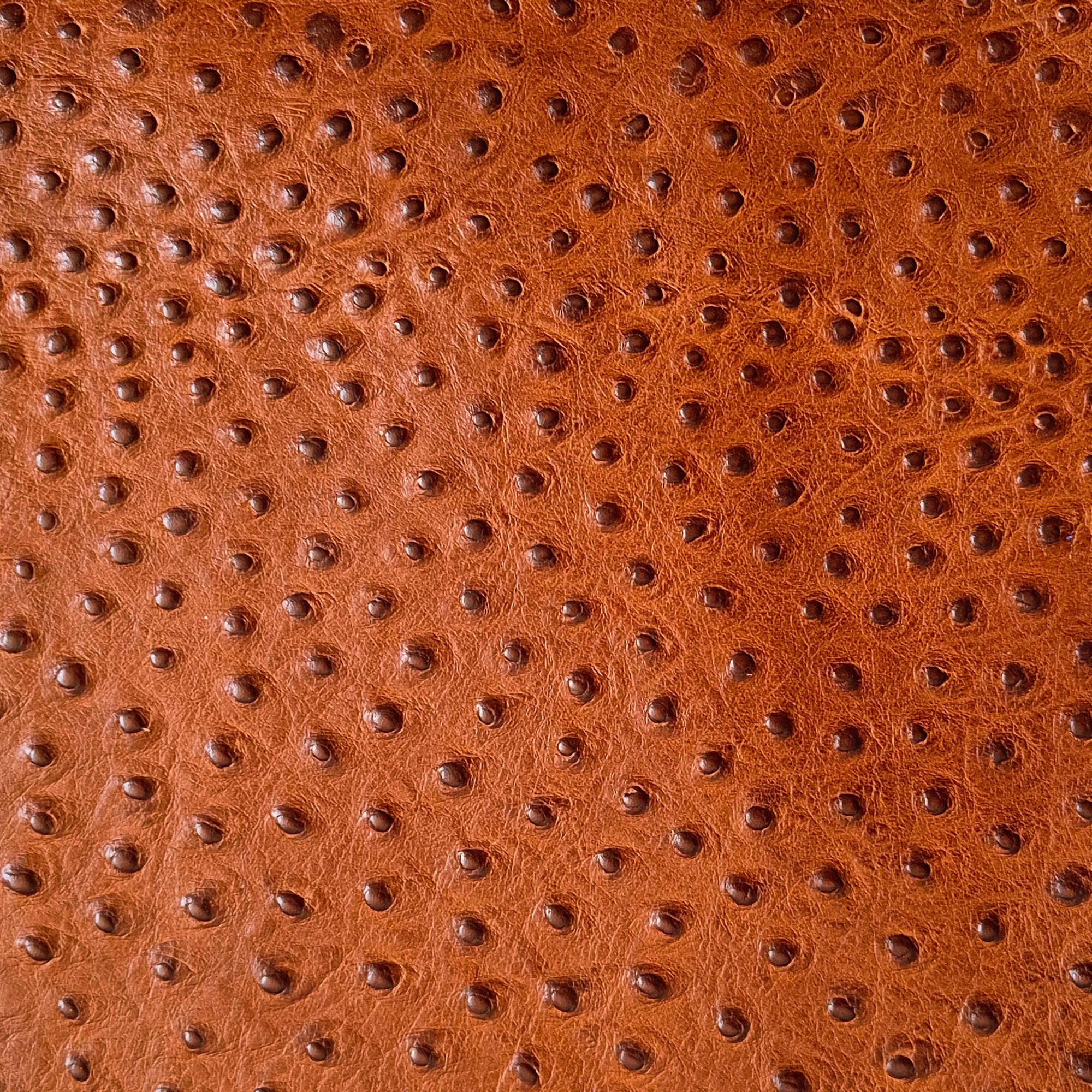 Aged leather background with a stitched border and brass studs