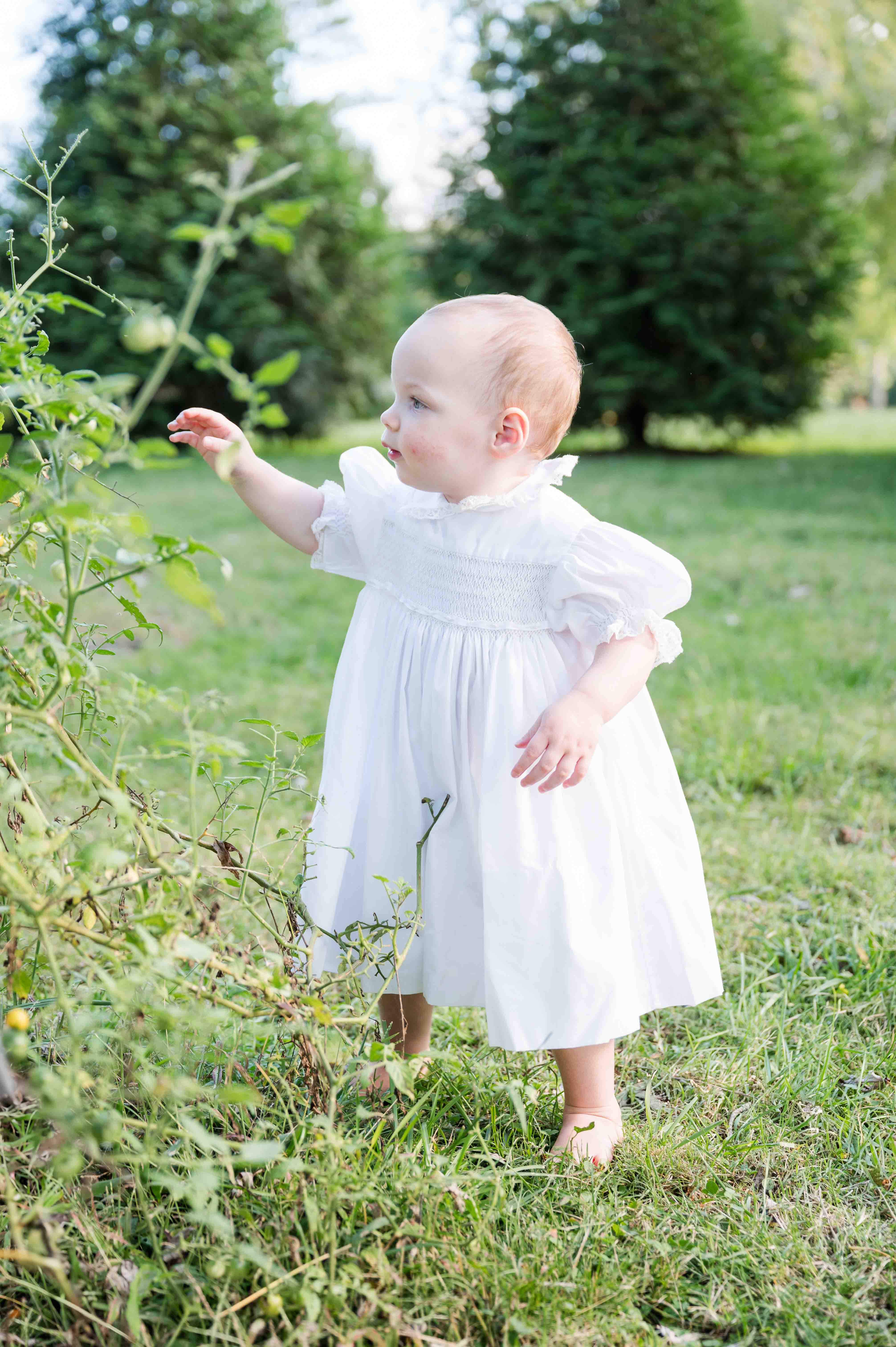Family lifestyle session toddler picking flowers in the garden.