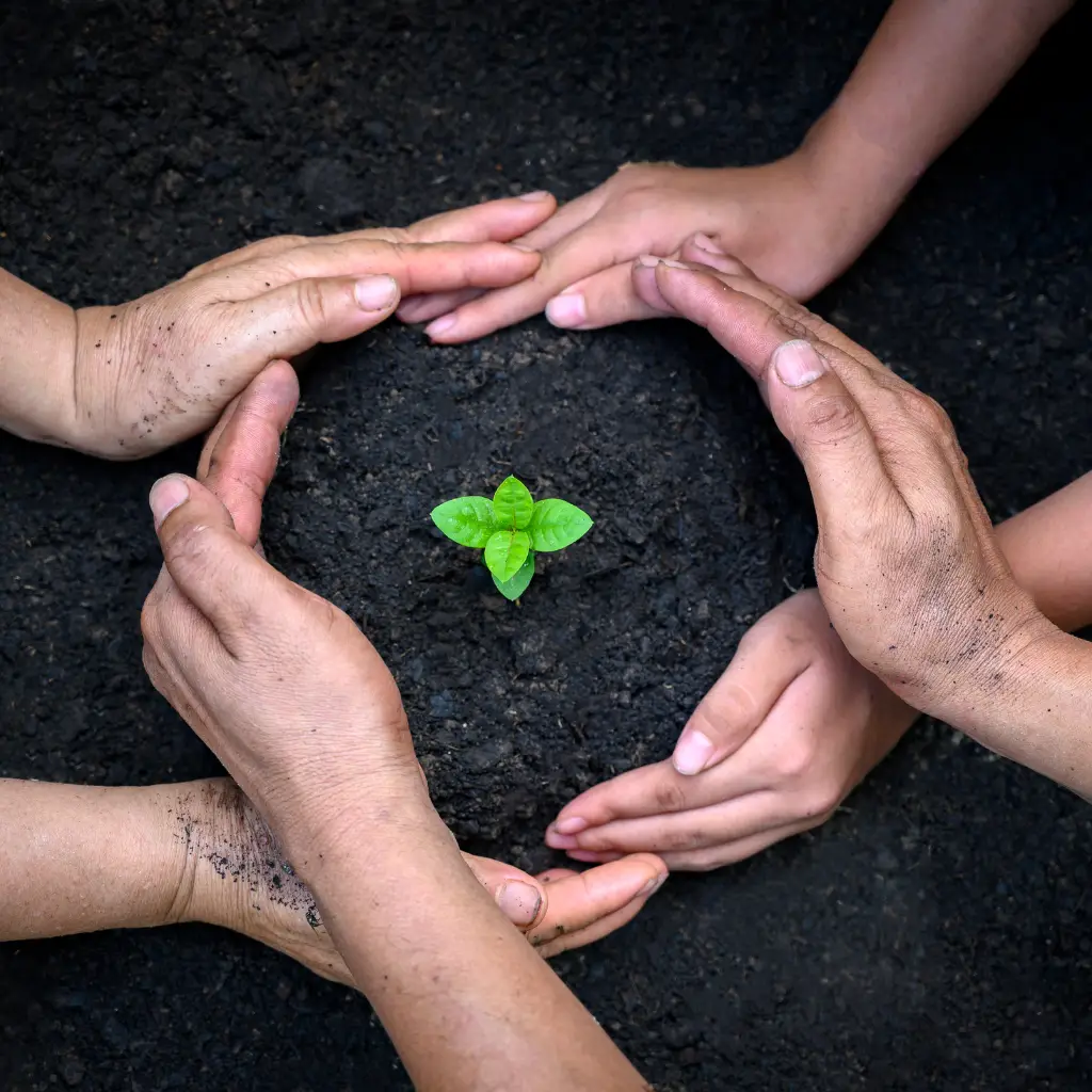 Agricultura Regenerativa: O Que Significa e Como Implementar