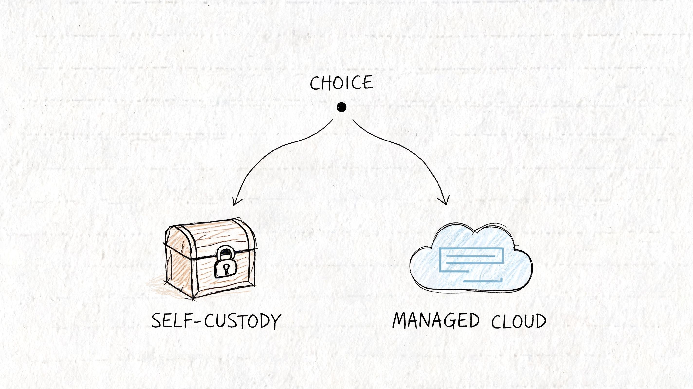 A diagram presenting a choice between self-custody with a physical chest and managed cloud storage services.