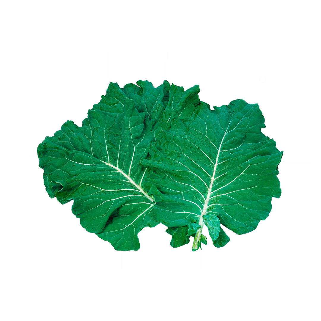 couve-de-folha-hs20