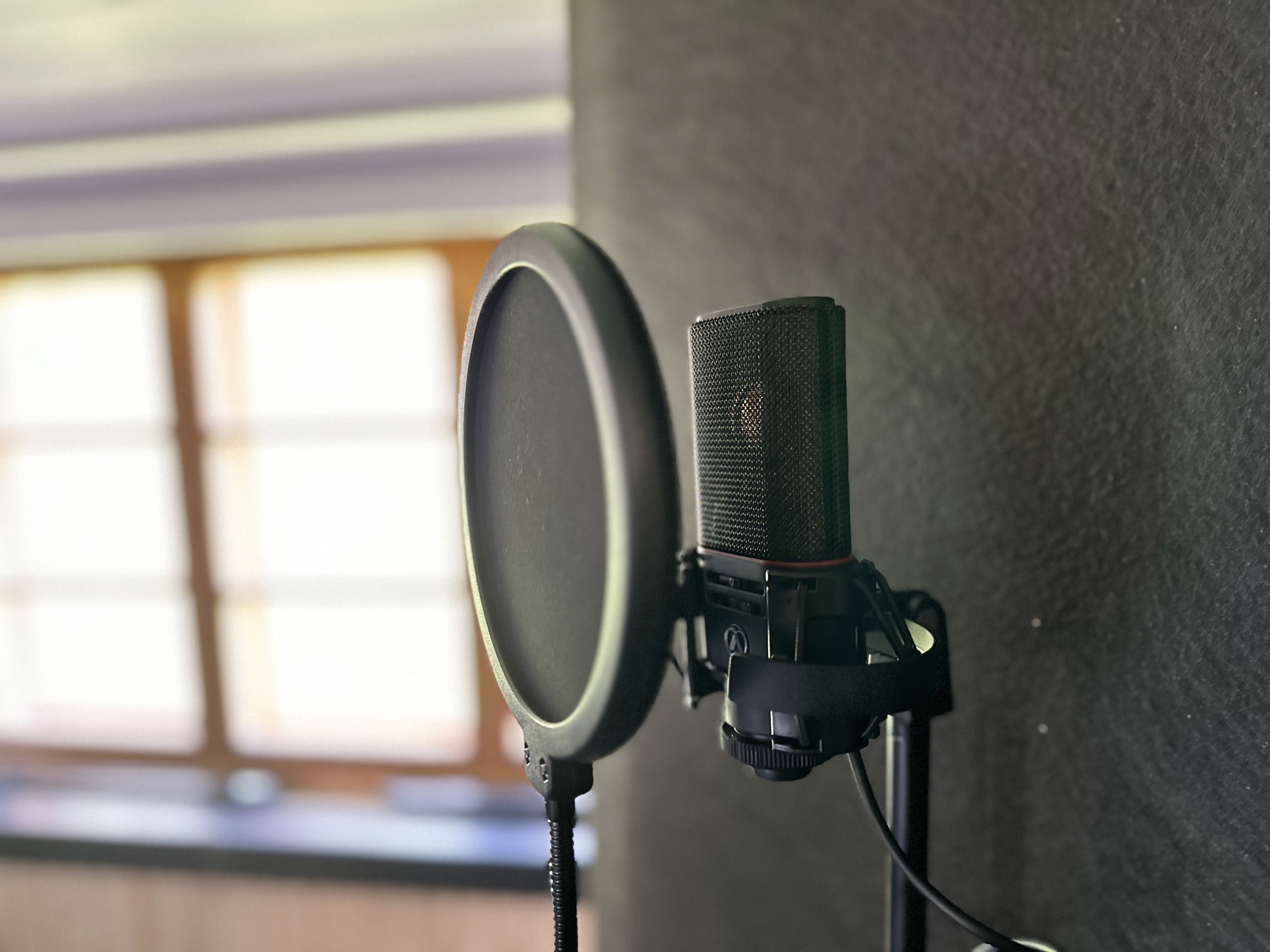 Microphone
