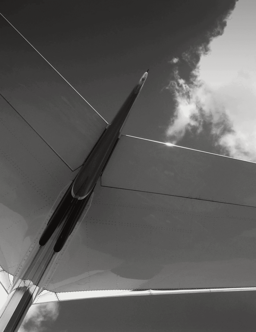 Image of a tall structure against a cloudy sky, creating a striking black and white contrast with fine lines above.