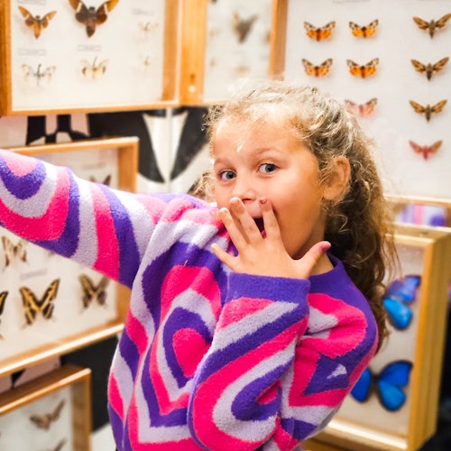 Museo de Mariposas Vivas