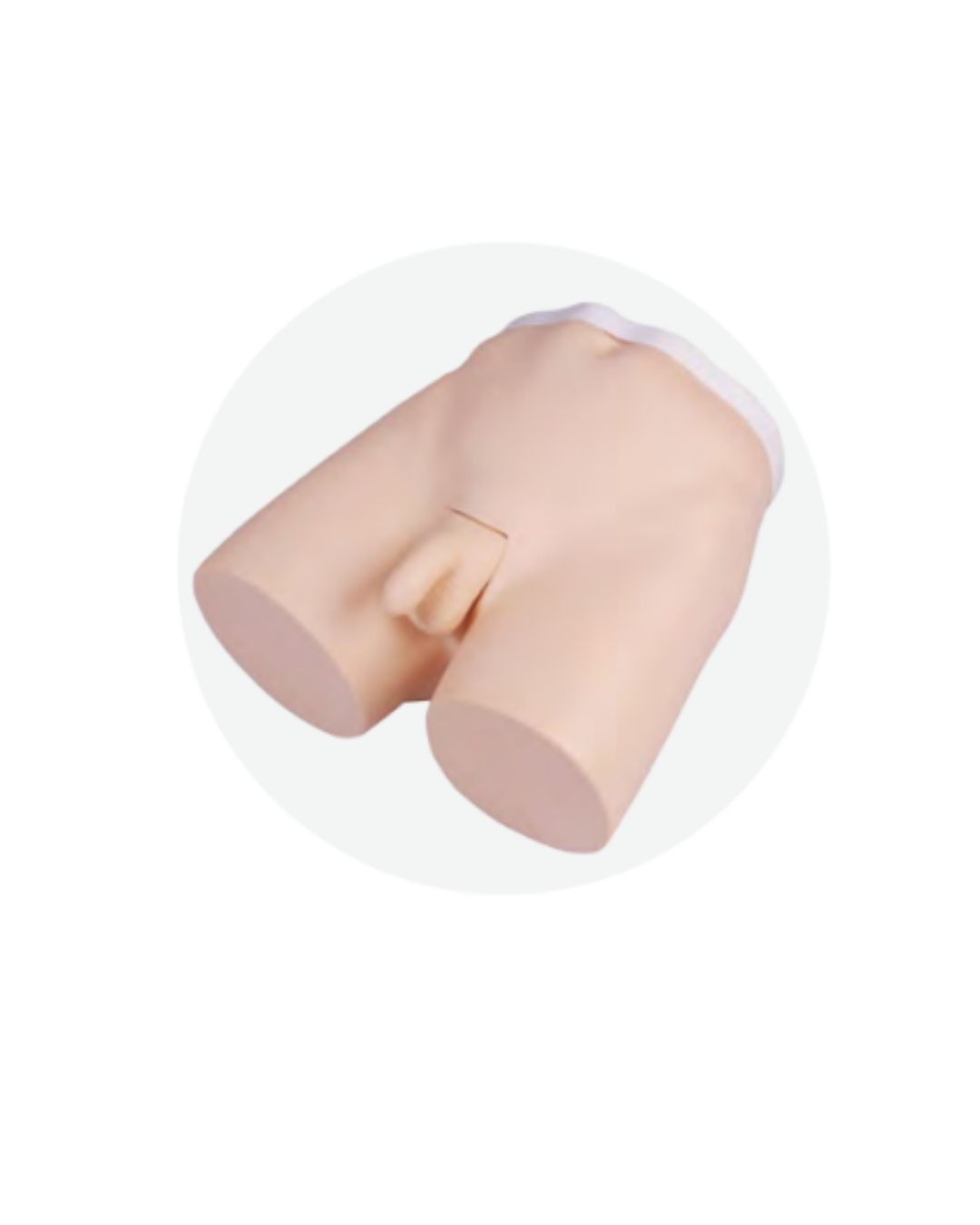 Vasectomy Training Model