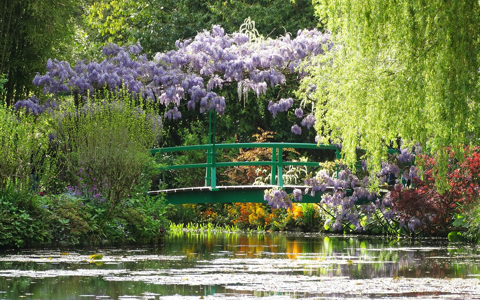 Jardín de Giverny con puente verde y glicinas, parte del tour de la Casa de Monet desde París.