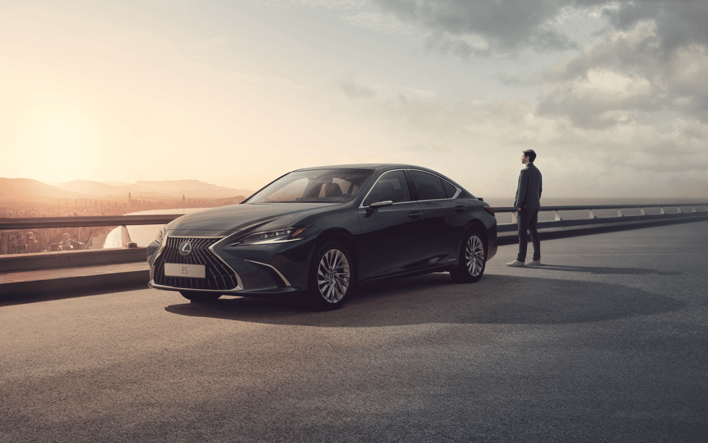 The driver of a Lexus looking at the horizon next to his car