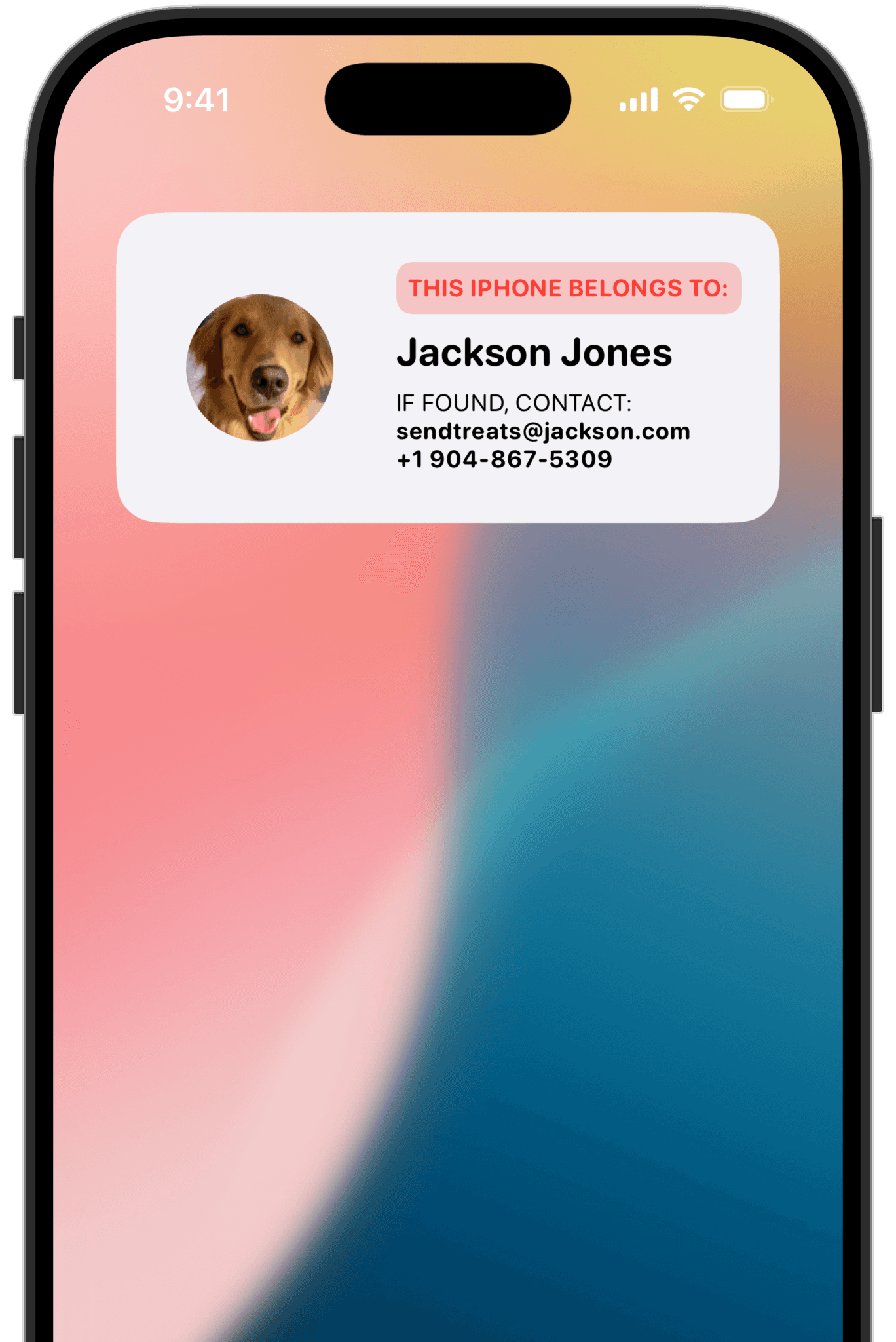 Framer Website