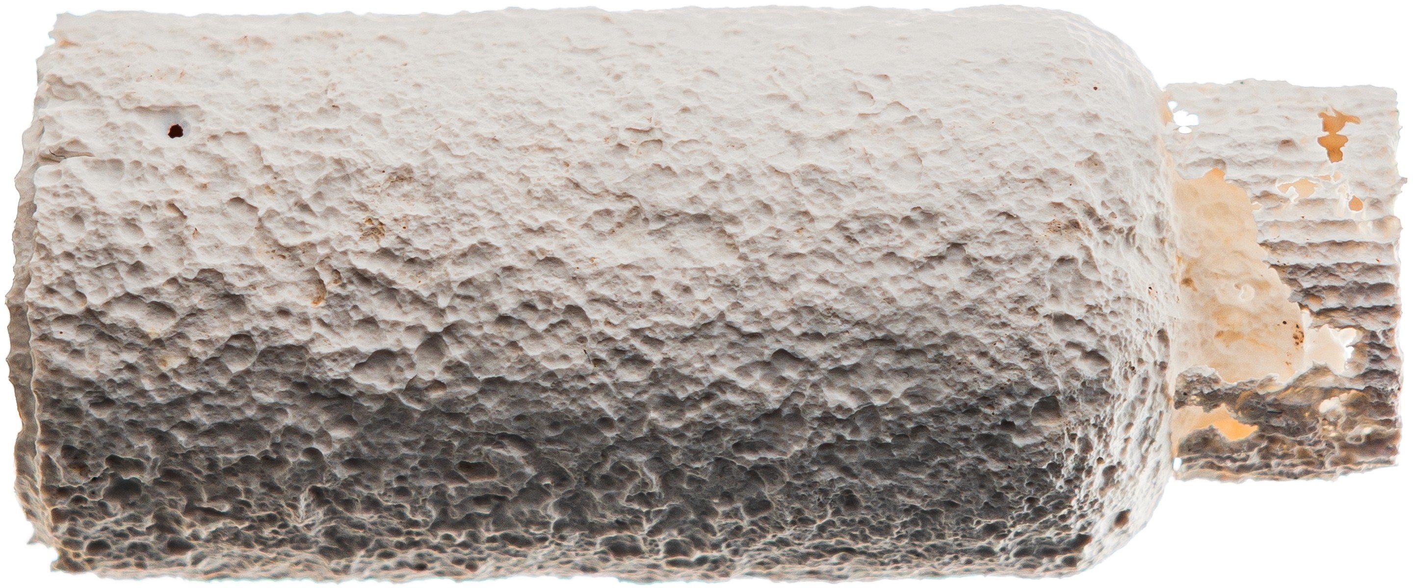 White Vivomer dropper and cap biodegraded in soil, showcasing Shellworks' plastic-free and home-compostable cosmetic packaging.