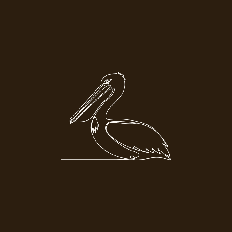 pelican sketch on dark brown background