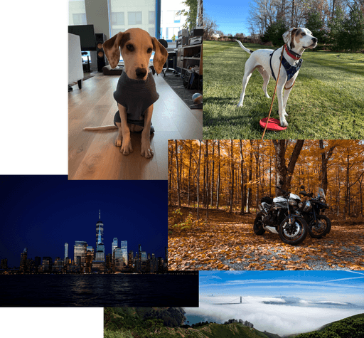 Collection of images including my dog Hank, New York, San Francisco and my motorcycle.