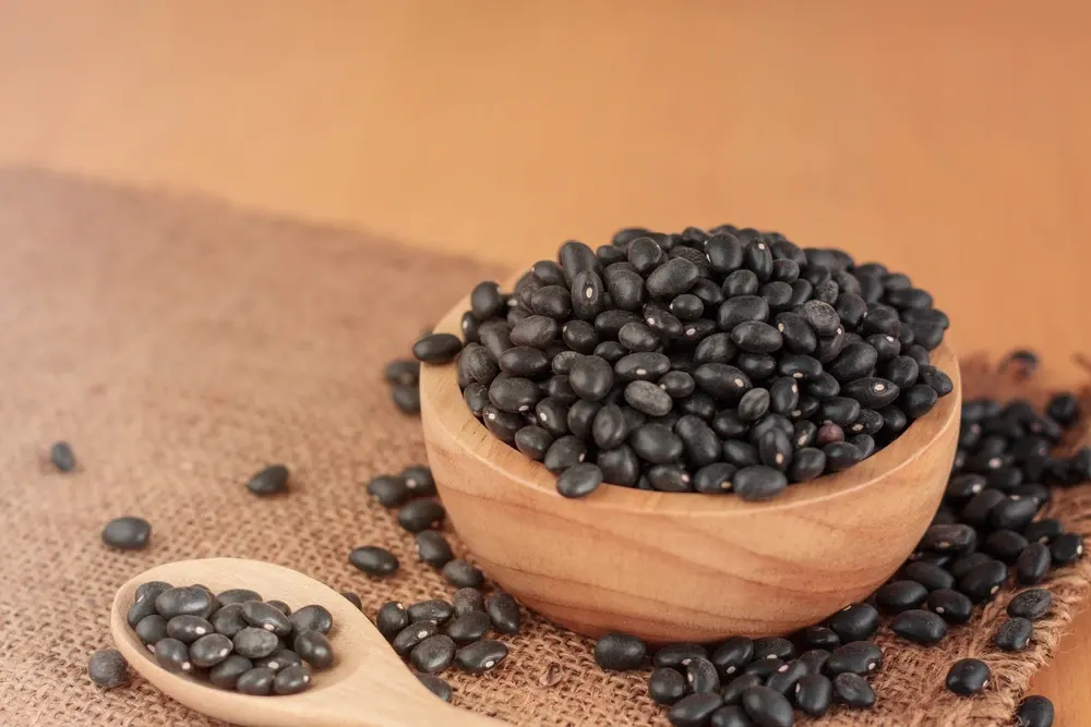 Pon-Ye-Gyi: A Closer Look at Burma’s Fermented Black Beans and Dips