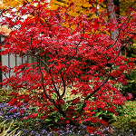 Atsiliepimas apie paslaugas