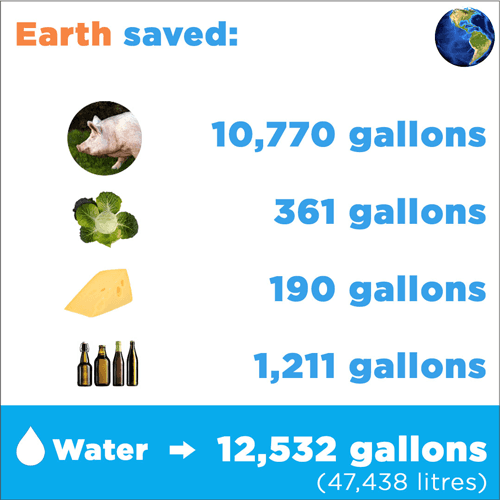 Illustration showing how much water Kelly saved by using the Siitch website.