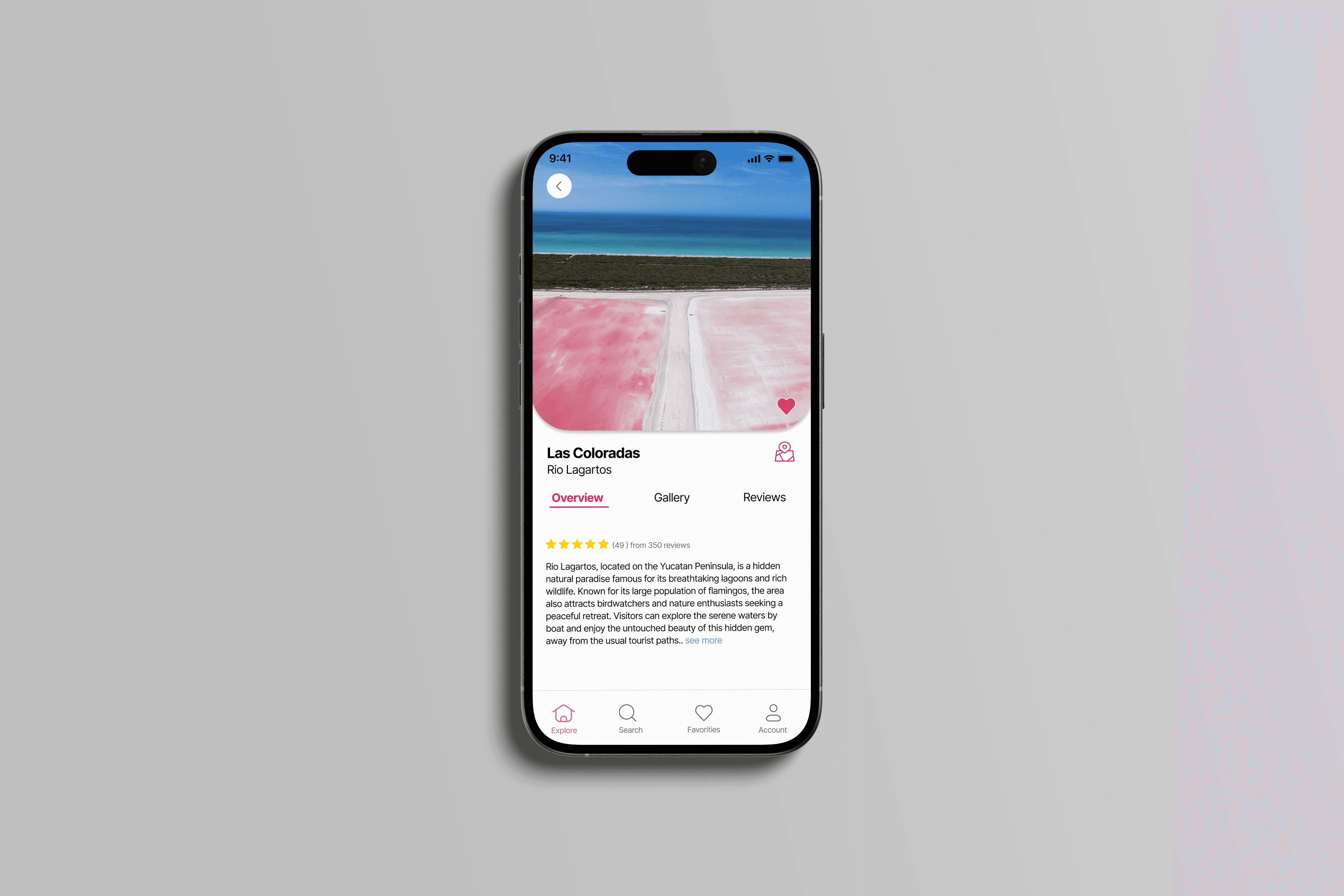 Project Gallery Image for 50% width of the screen #1