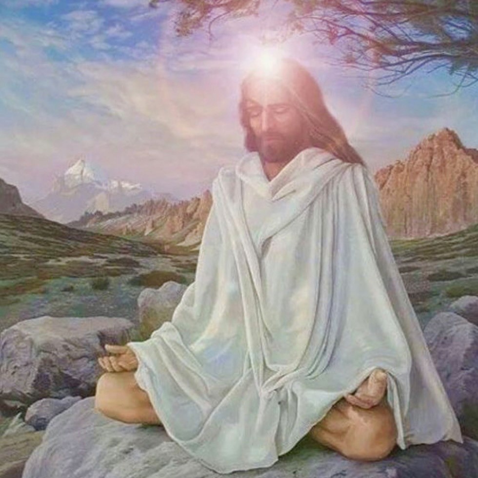 pink flowers on body of water