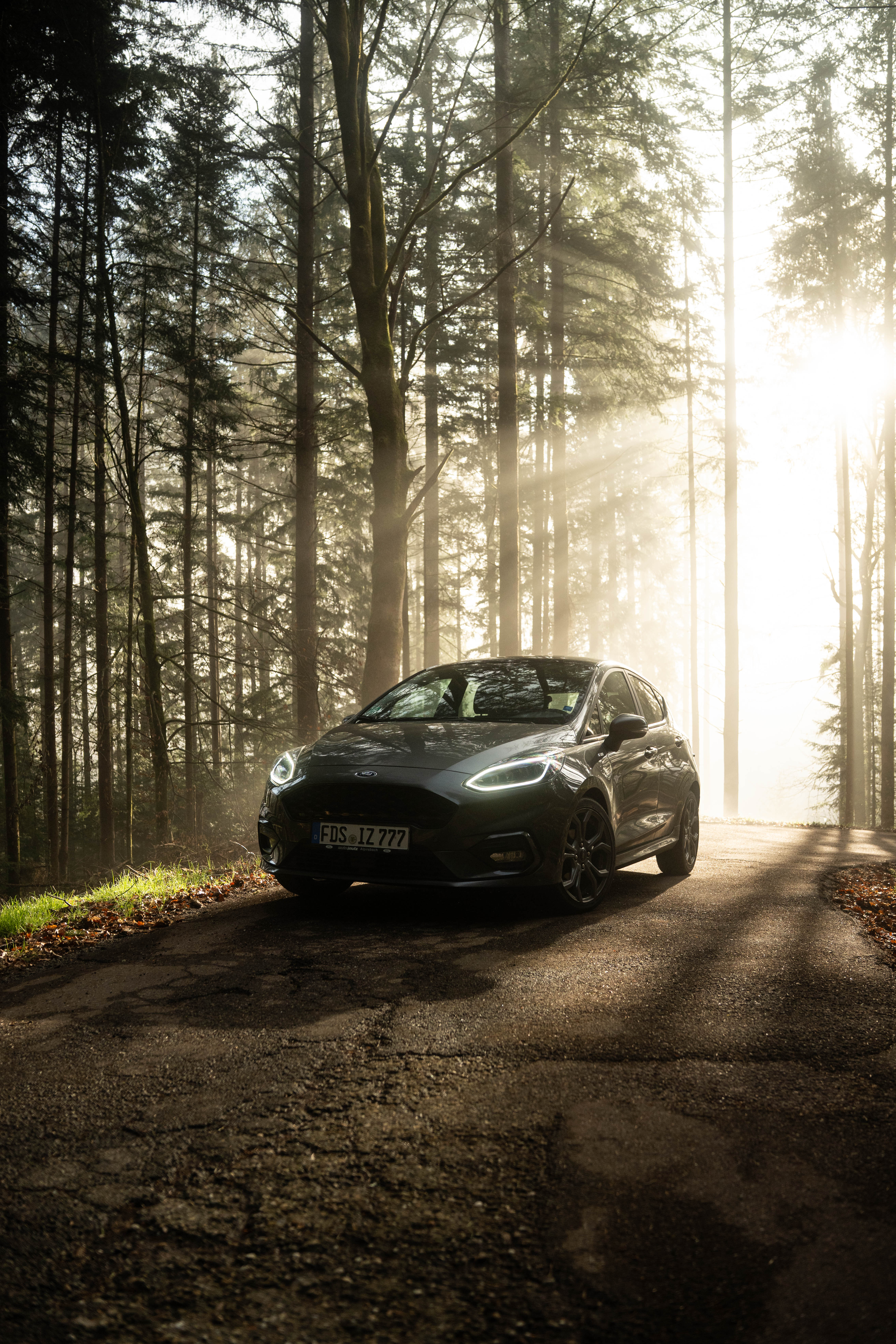 Profile portrait with natural lighting featuring long blonde hair