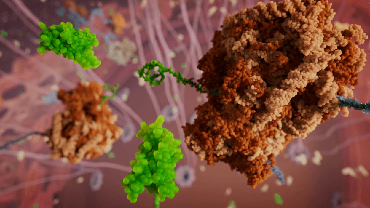 Formation of the molecular condensate from disordered proteins and RNA molecules in the cytoplasm