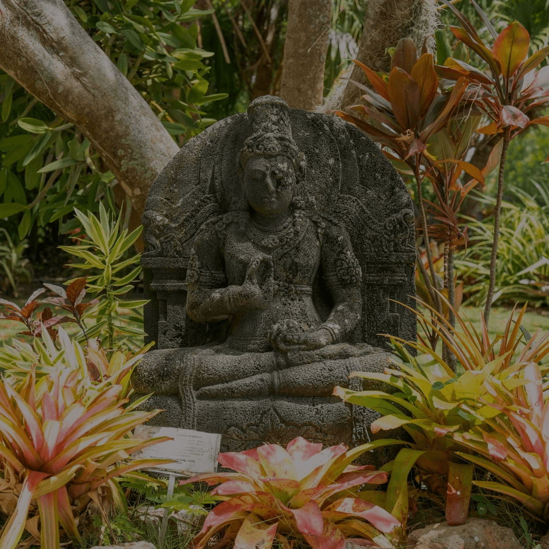 Free Meditation Course