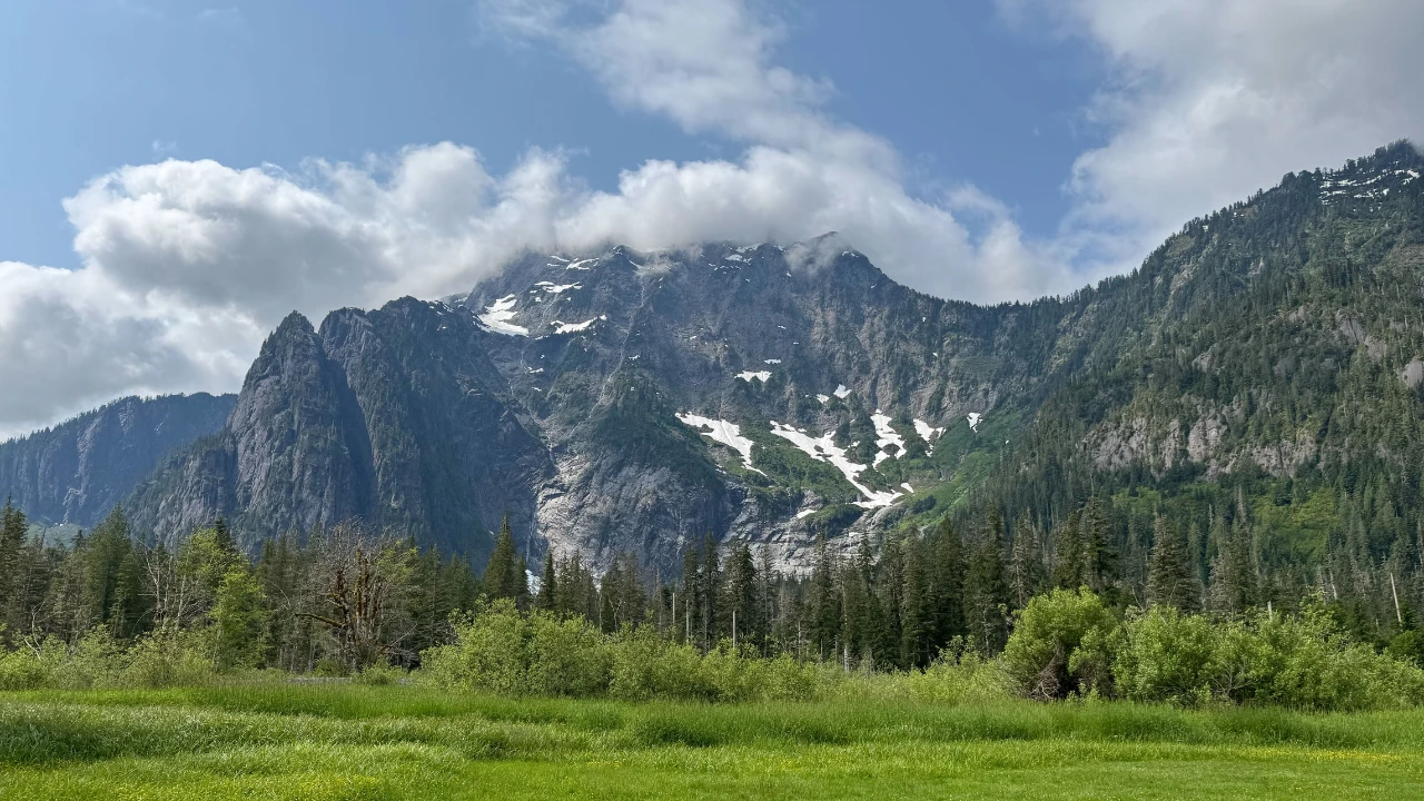 Mountain and forest landscape along the Big Four Ice Caves Trail near Arlington, Washington, on a summer day.