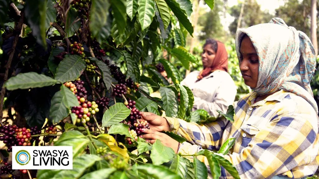 Eco-Friendly Farming