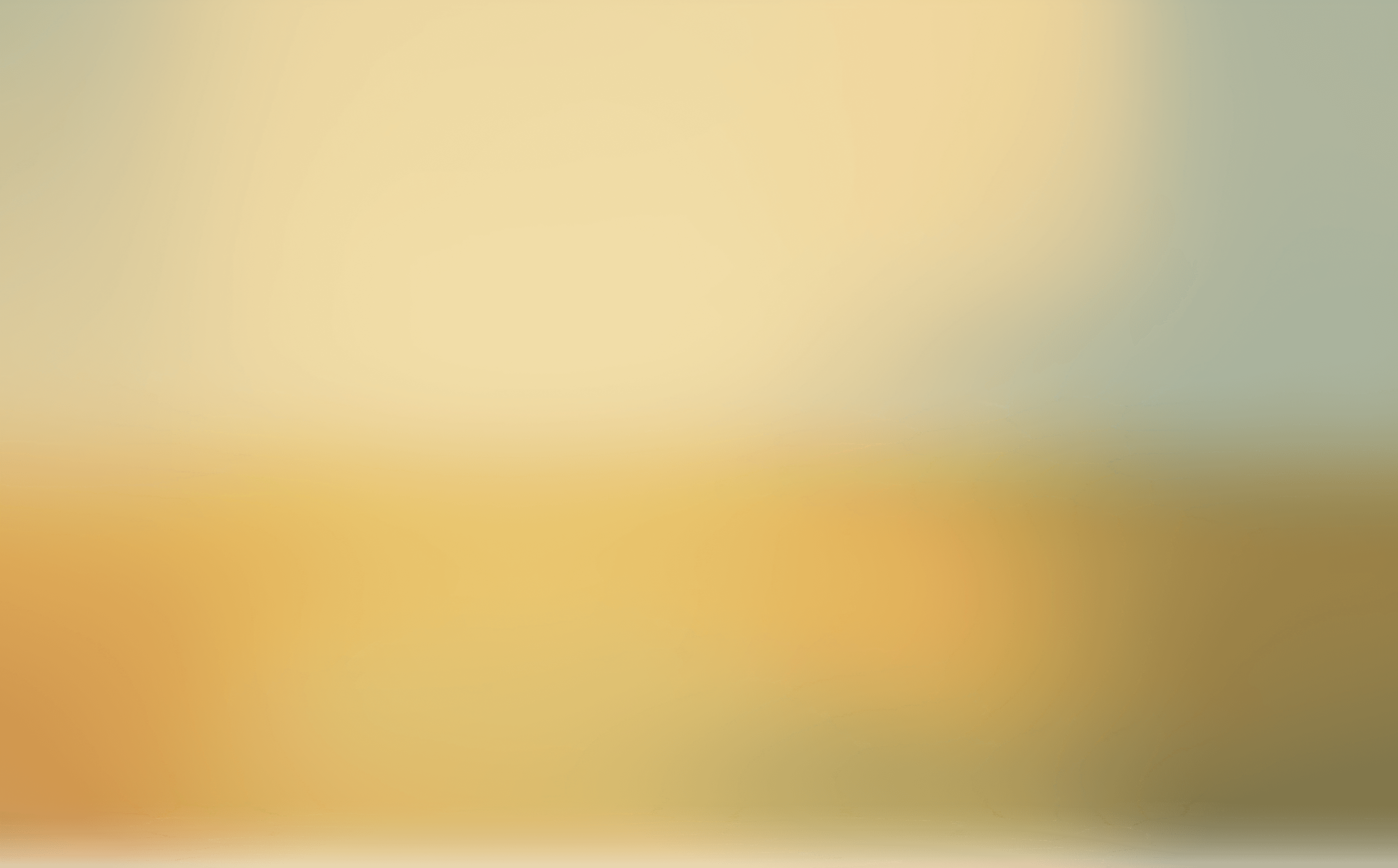 Blurry image of a beach scene with indistinct waves and a hazy background.