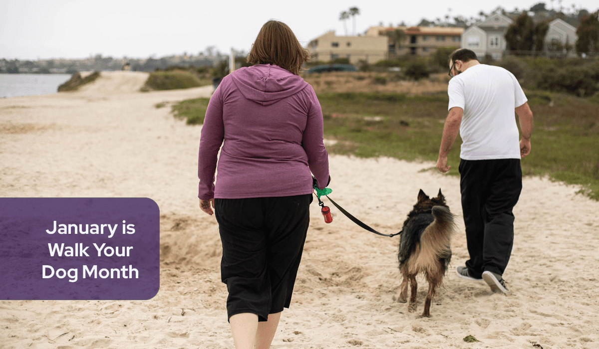 Complete List of 2024 Social Media Holidays For Veterinary Hospitals