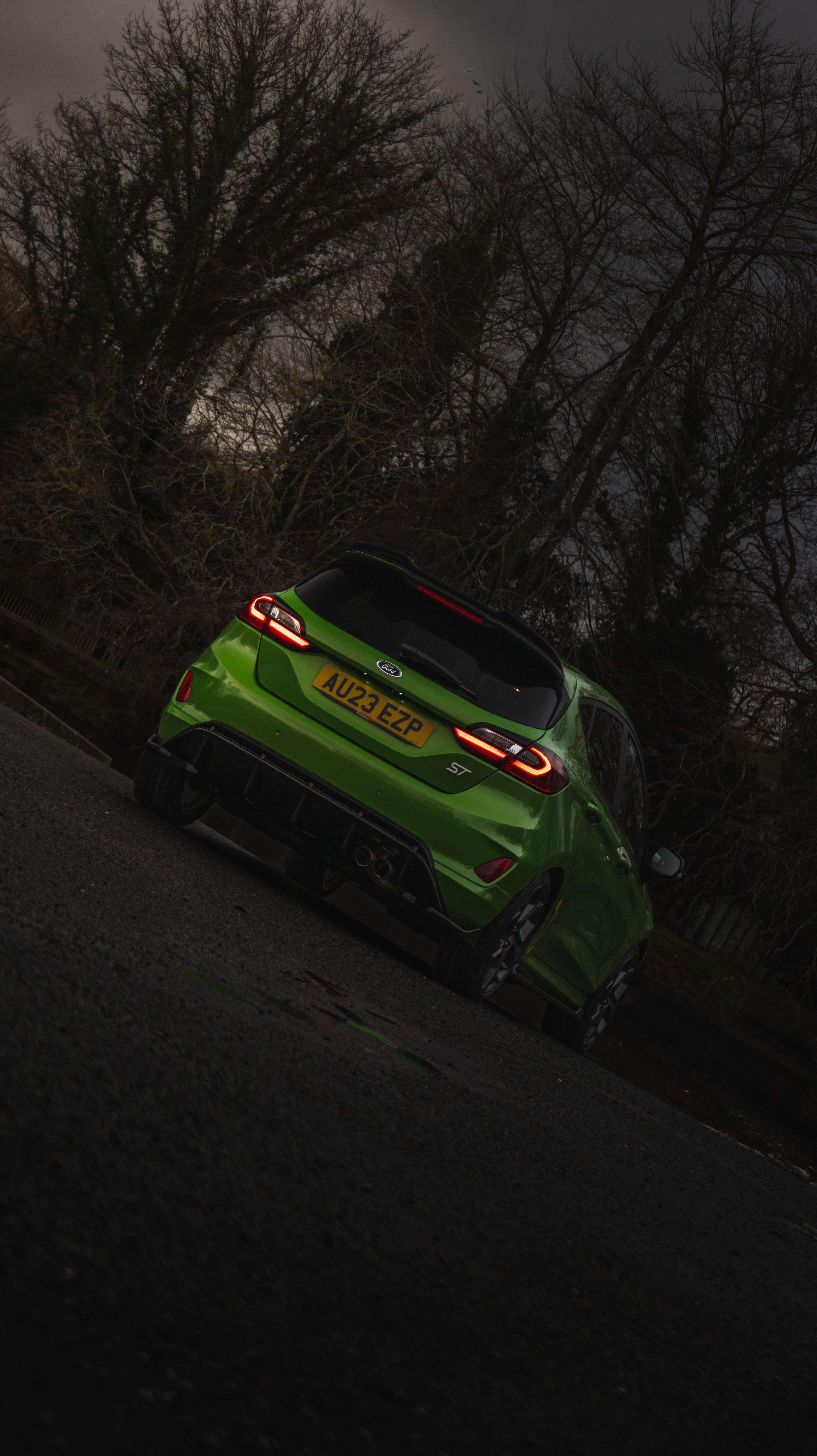 Fiesta st back shot in the countryside