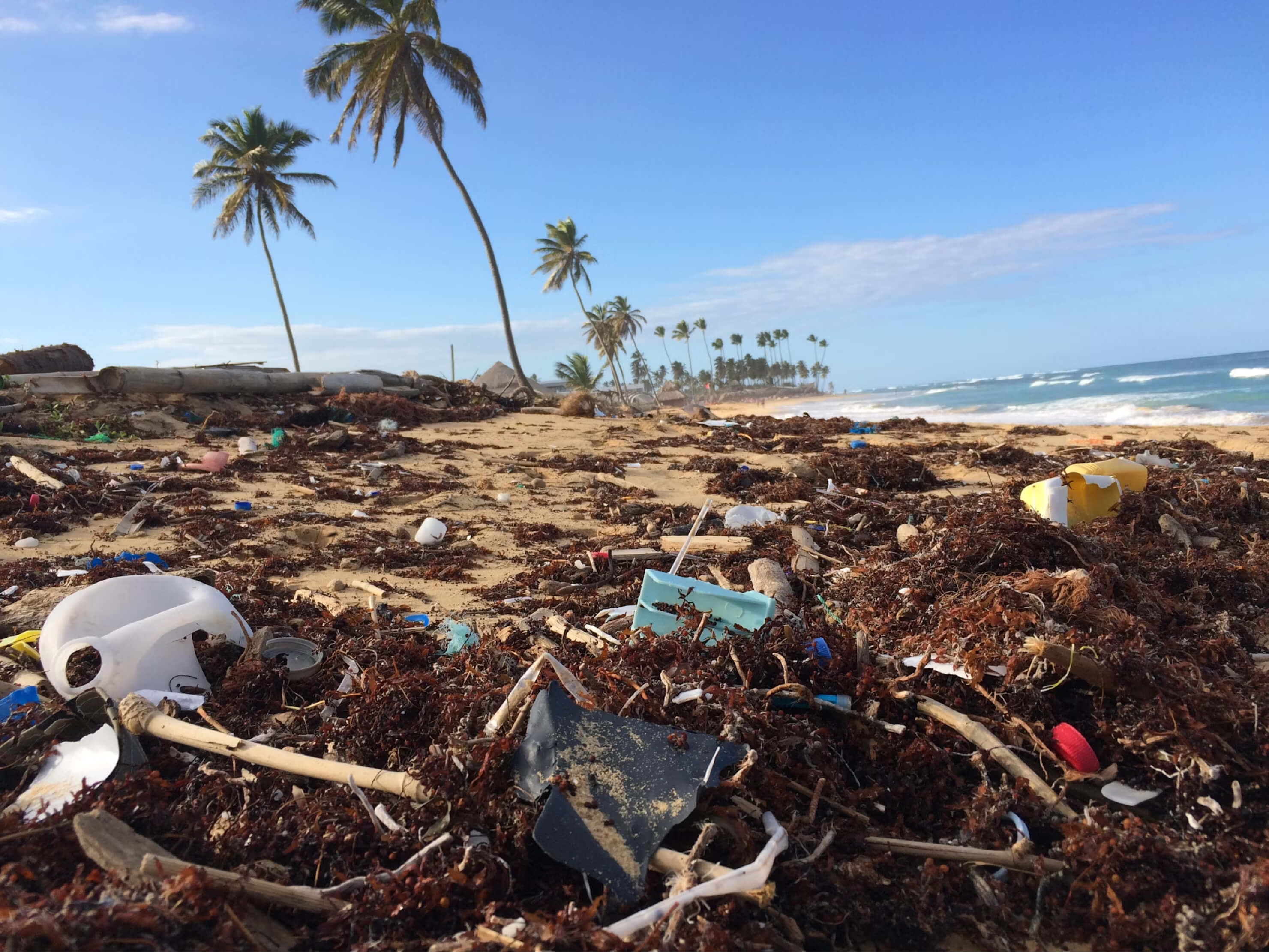 Polluted nature