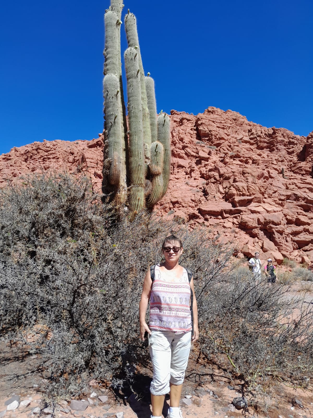 Mujer sentada sobre un tronco frente a una cascada doble en un bosque frondoso de Argentina.