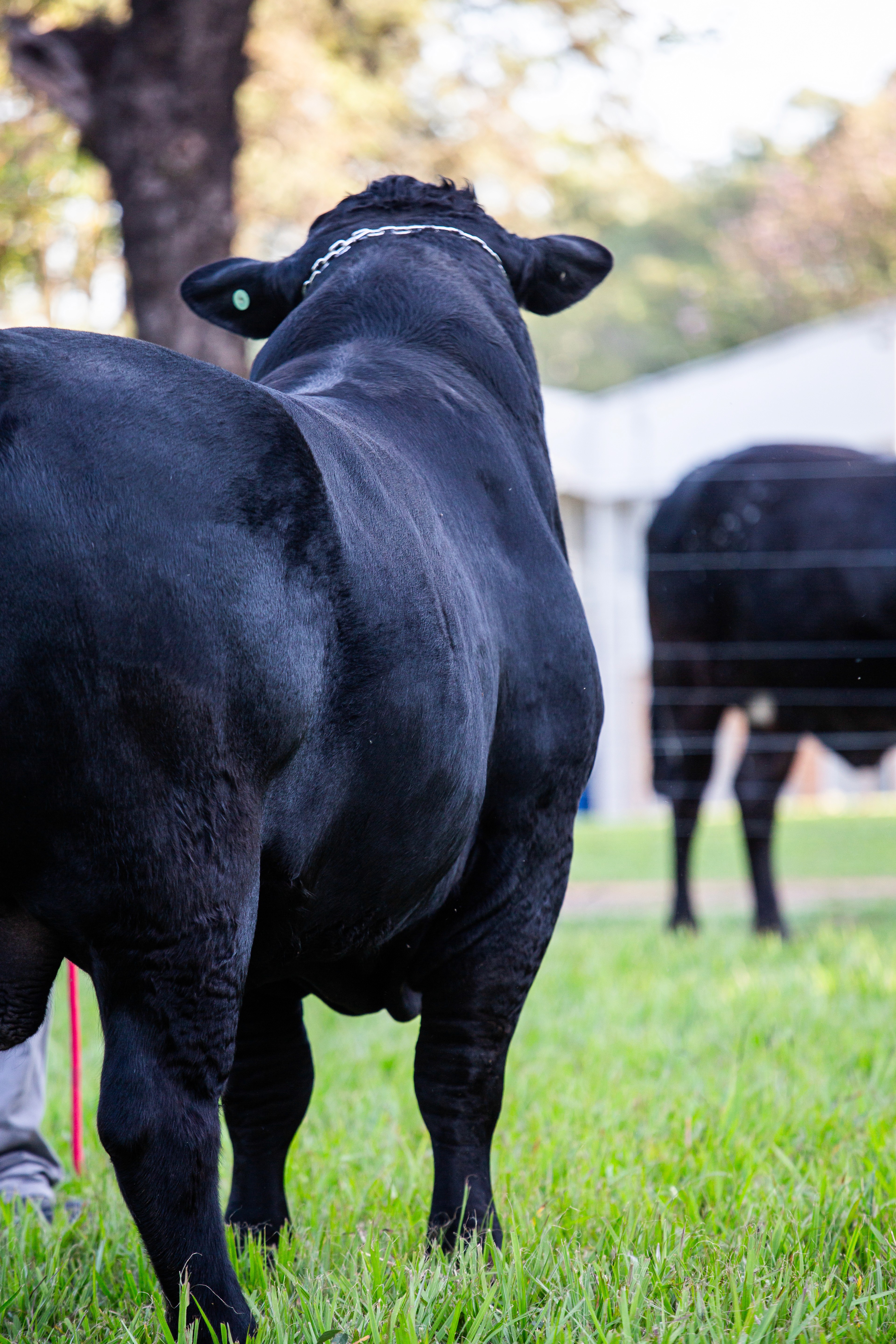 a man holding a microphone in his hands