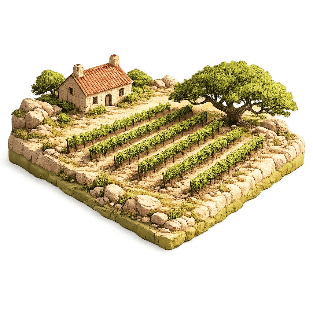 Artistic illustration of the Texas Hill Country wine region.