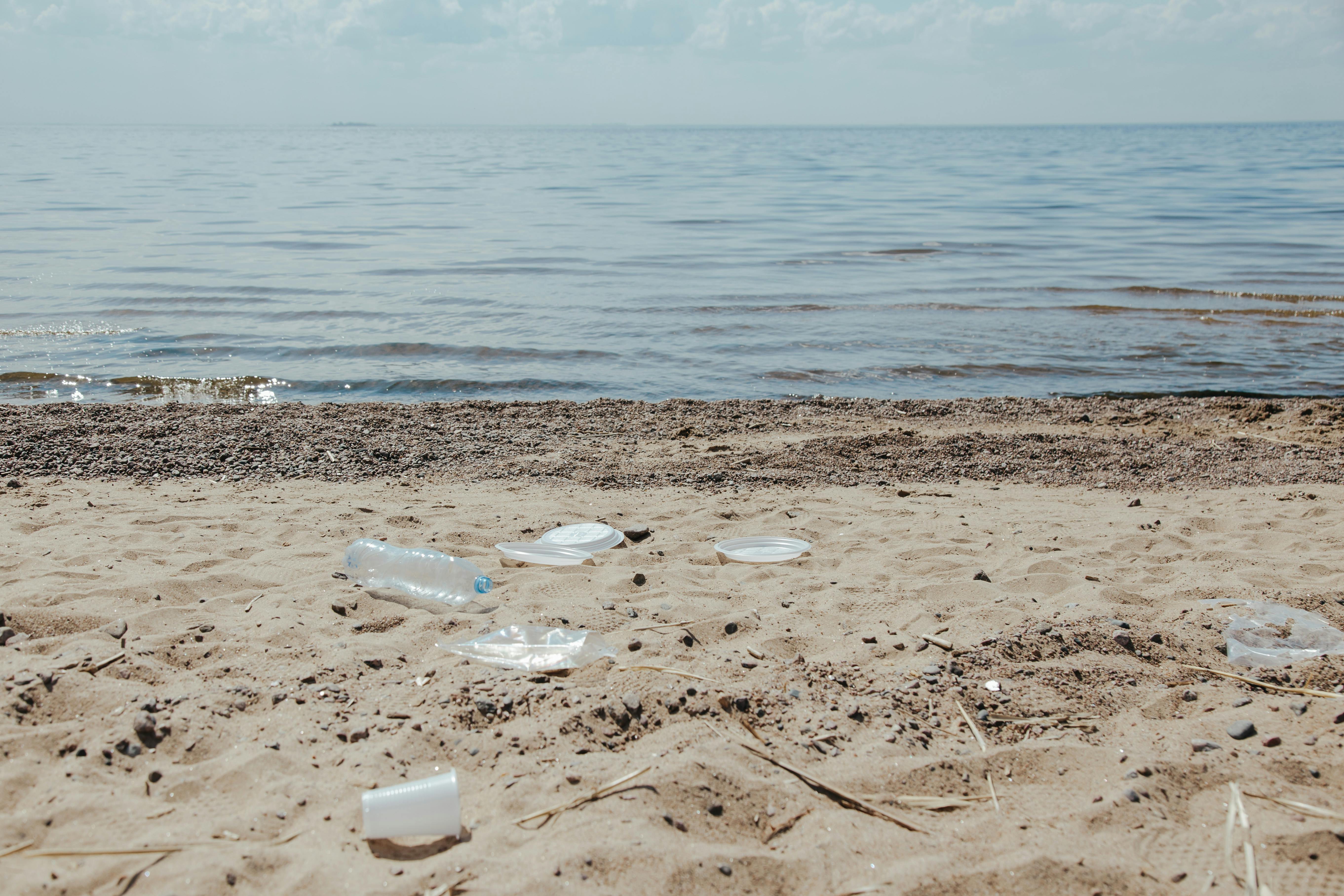 A beach.