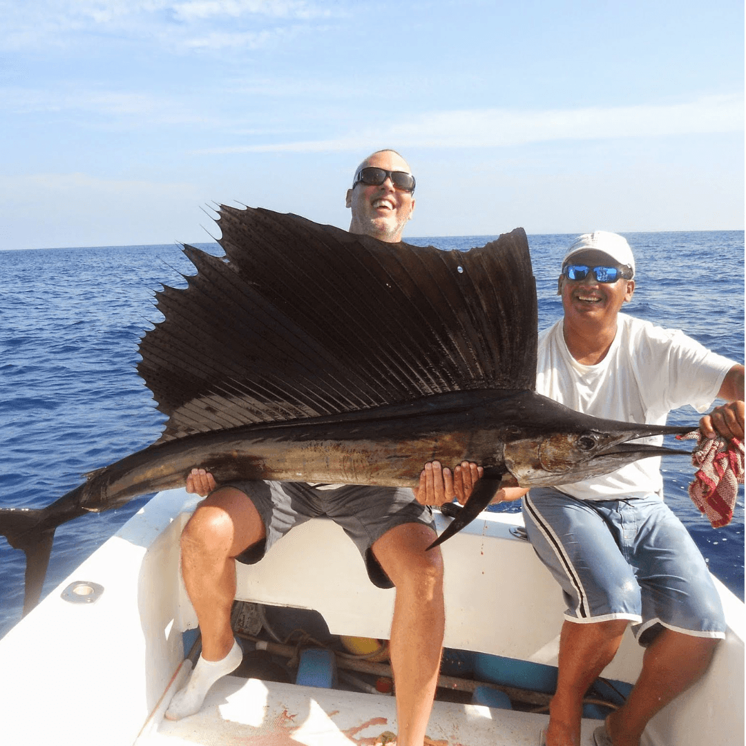 Mexico, jack, rooster, sailfish, mahi mahi
