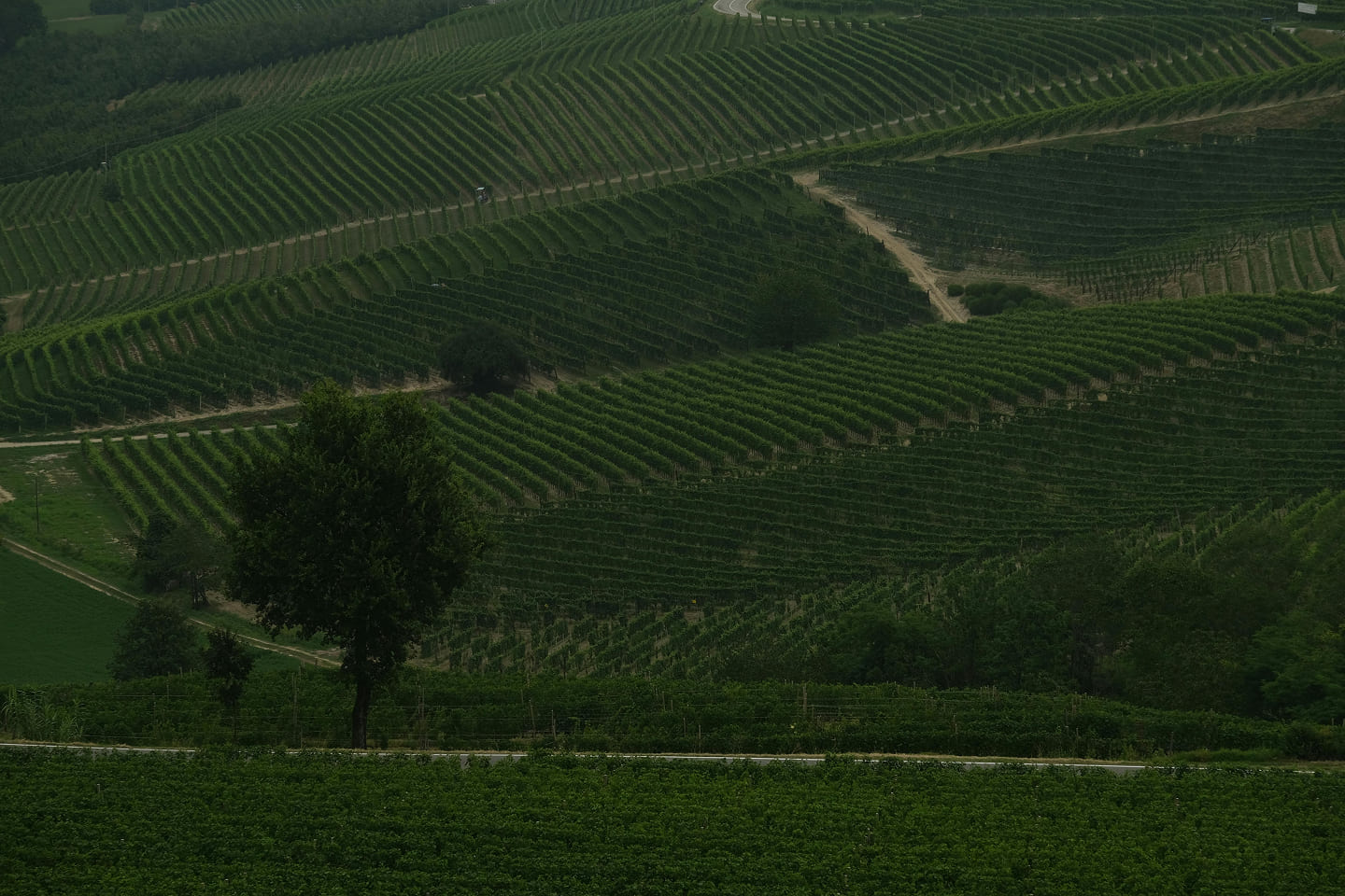 winery