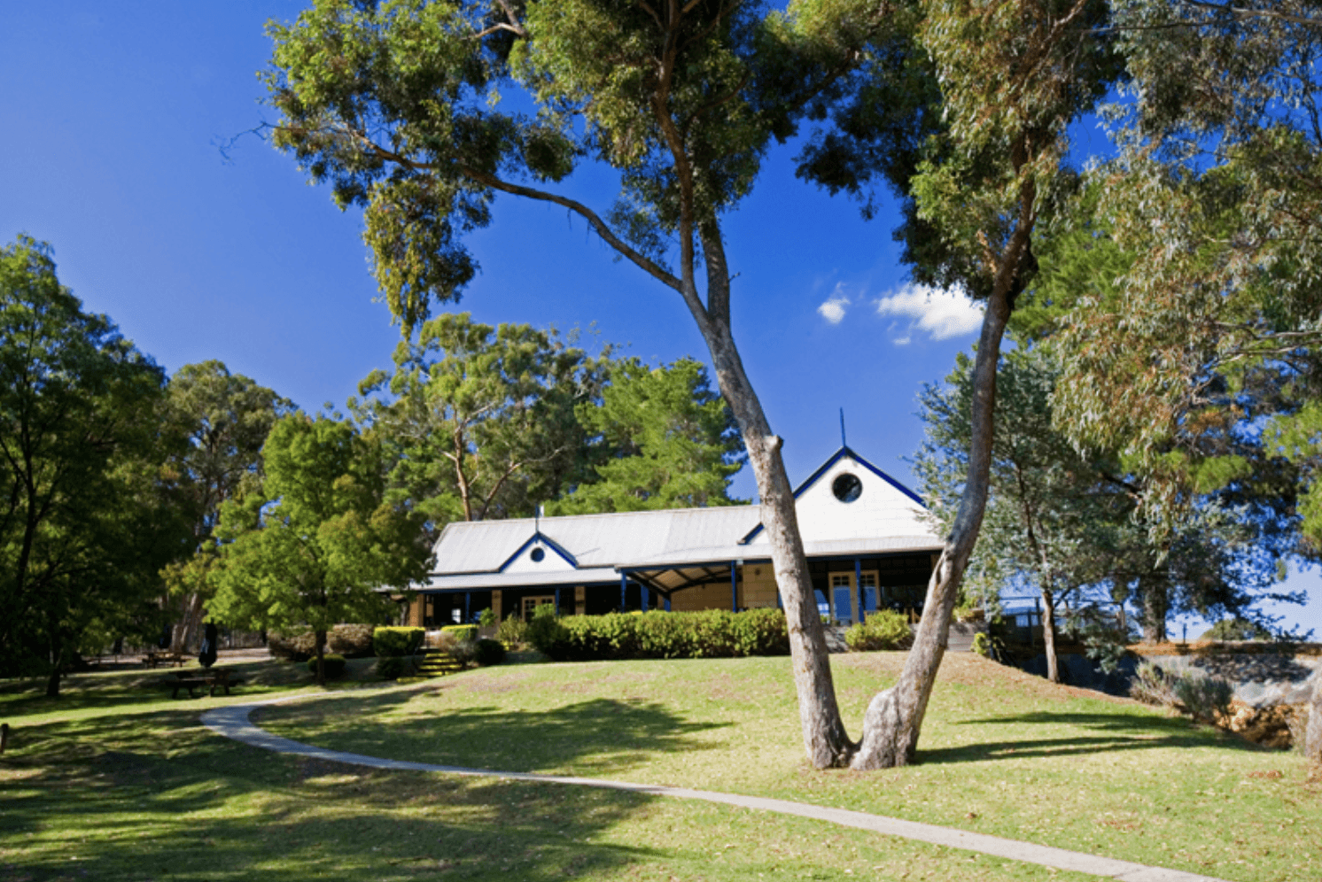 Blue Pyrenees Estate winery