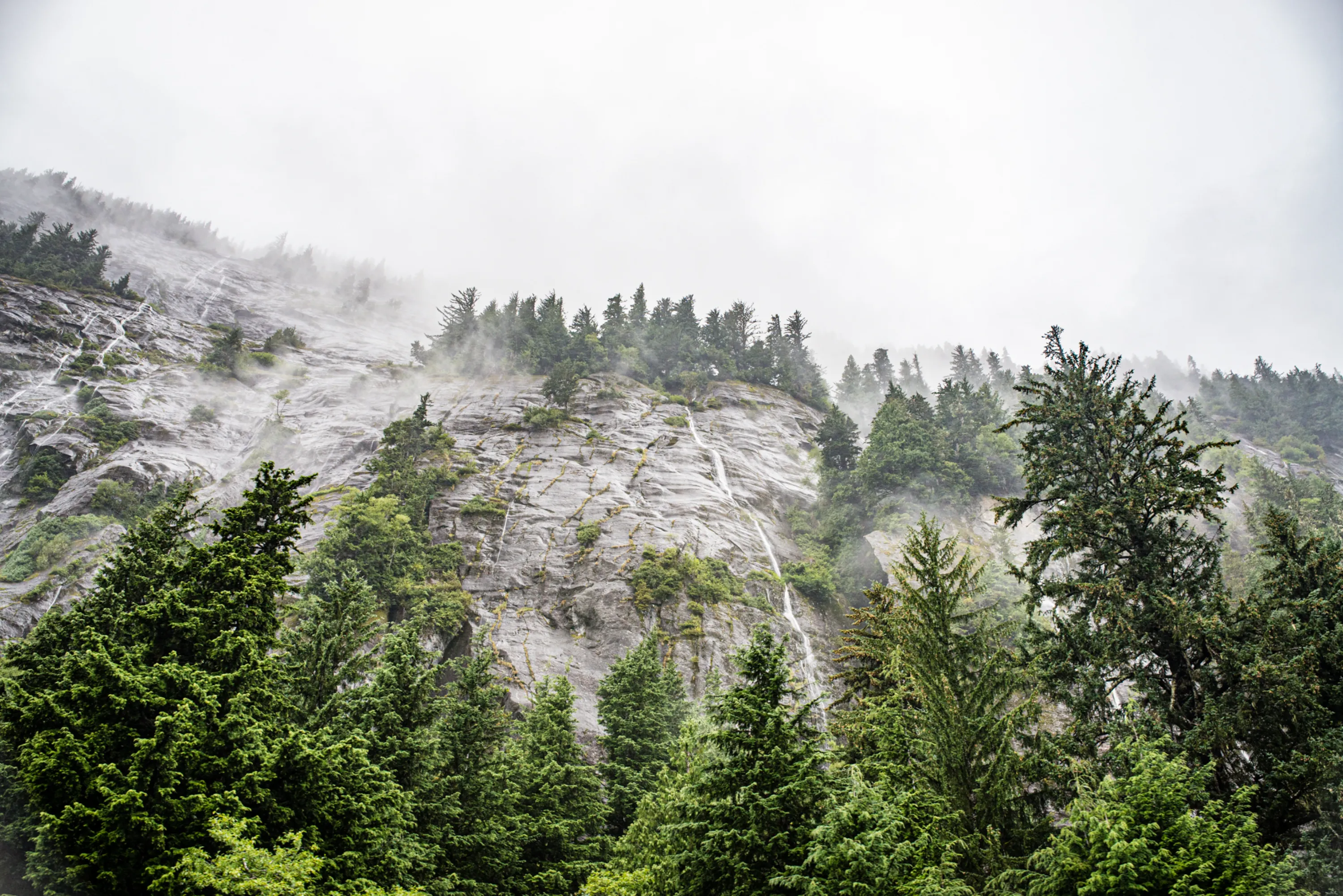 Wilderness & Wildlife 05
