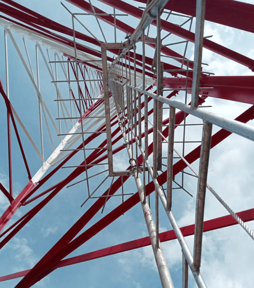 Close-up of a green palm leaf with intricate veining and texture, showcasing rich shades of green.