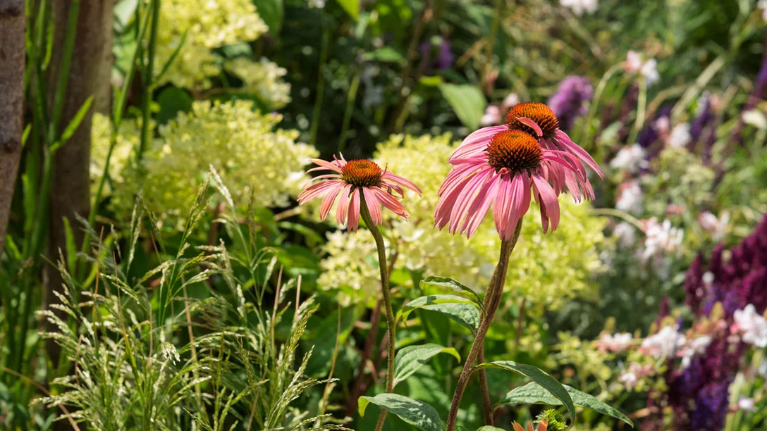 The bottom half of a screen of a mobile device