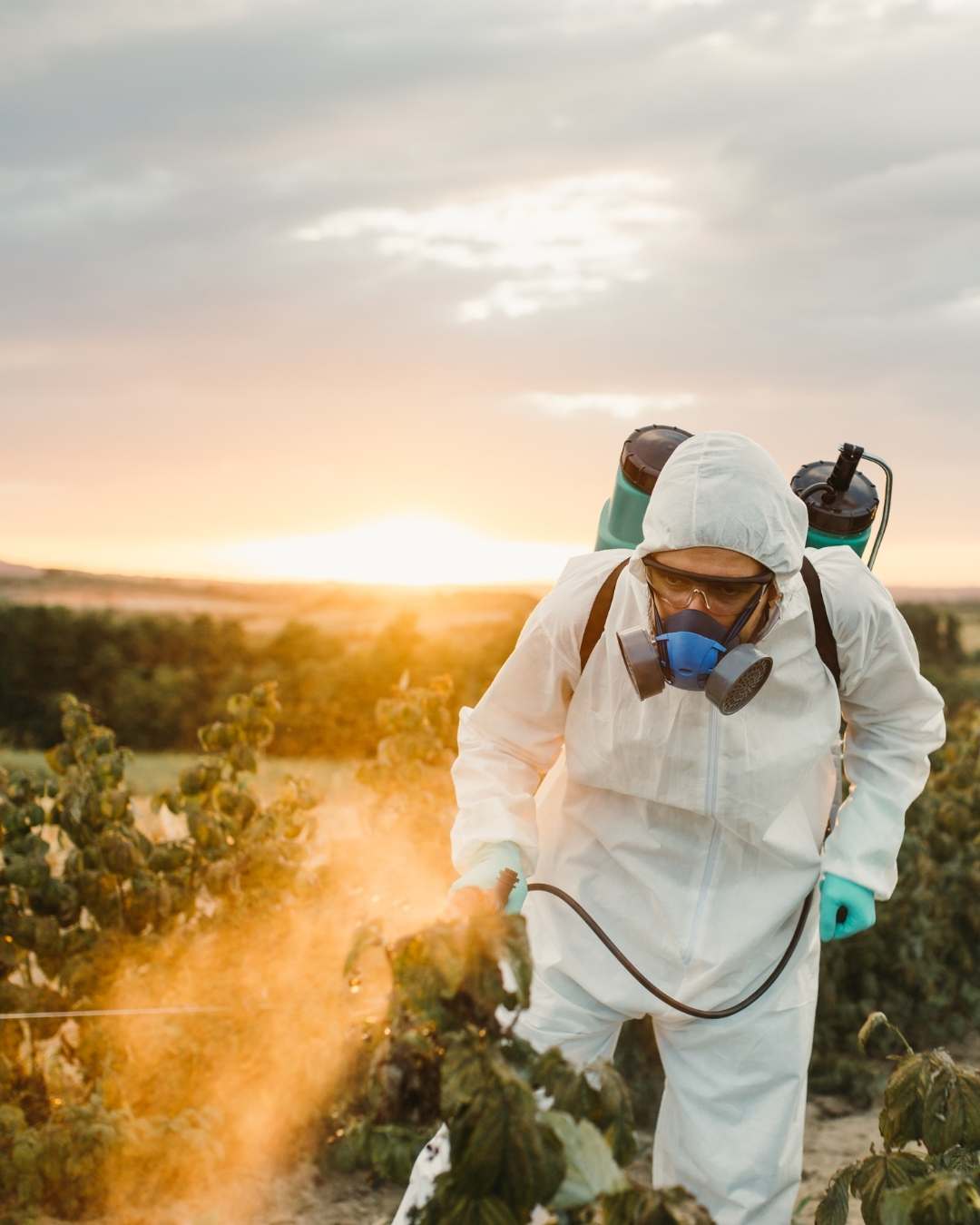 How Can We Help With Commercial Weed Control