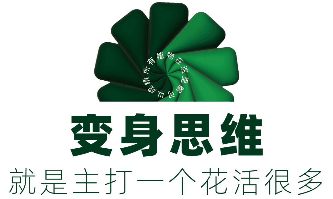 巨型思维导图图案