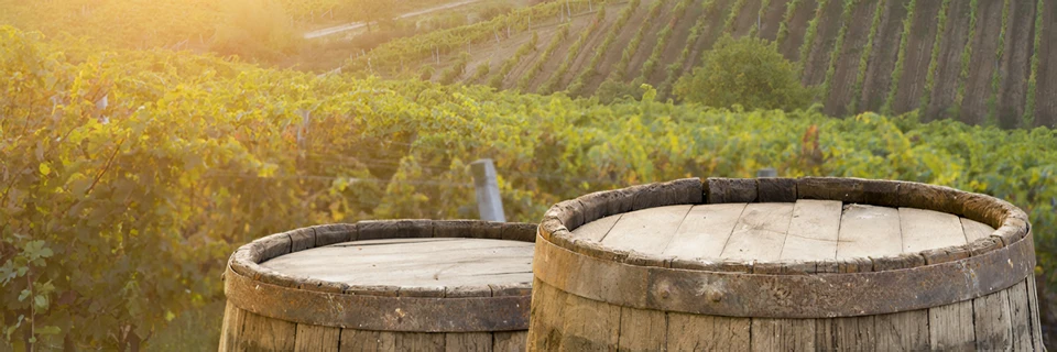 2 barrels with a scenic field view behind