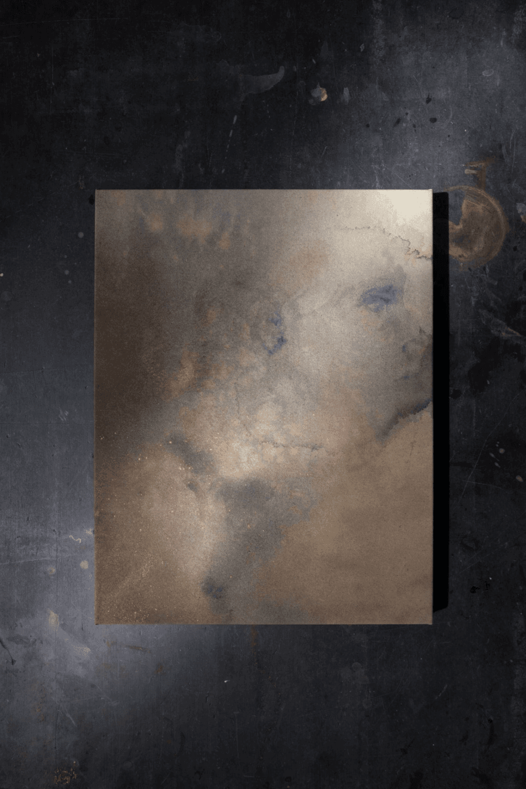 心象 Inner Image image 3
