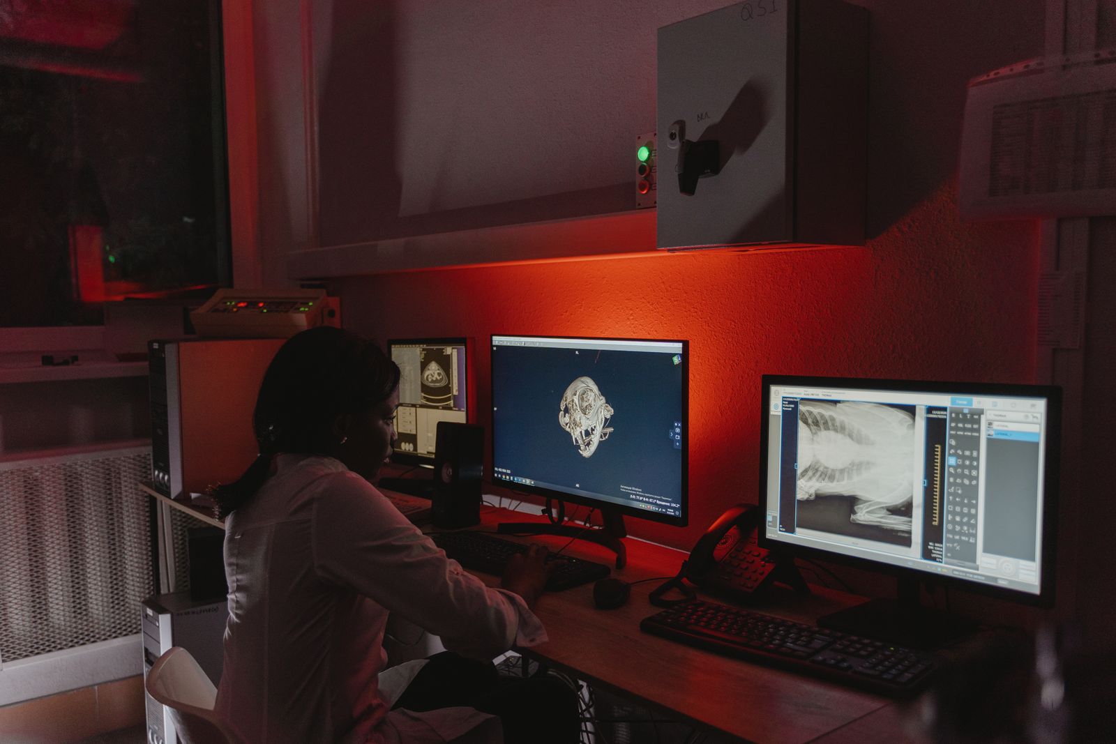Professionnelle étudiant des radiographies à l’écran