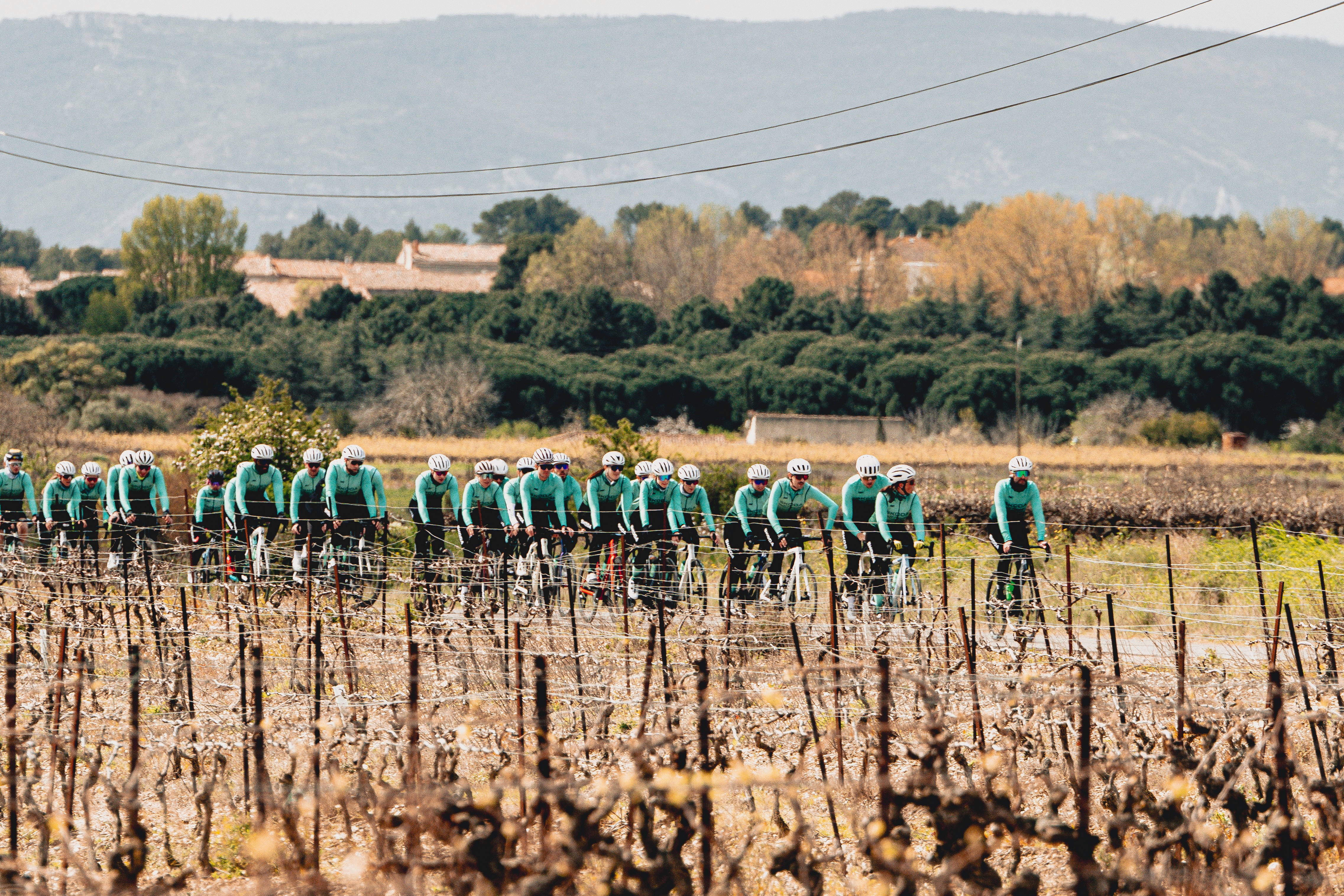 Featured Project Cover Image