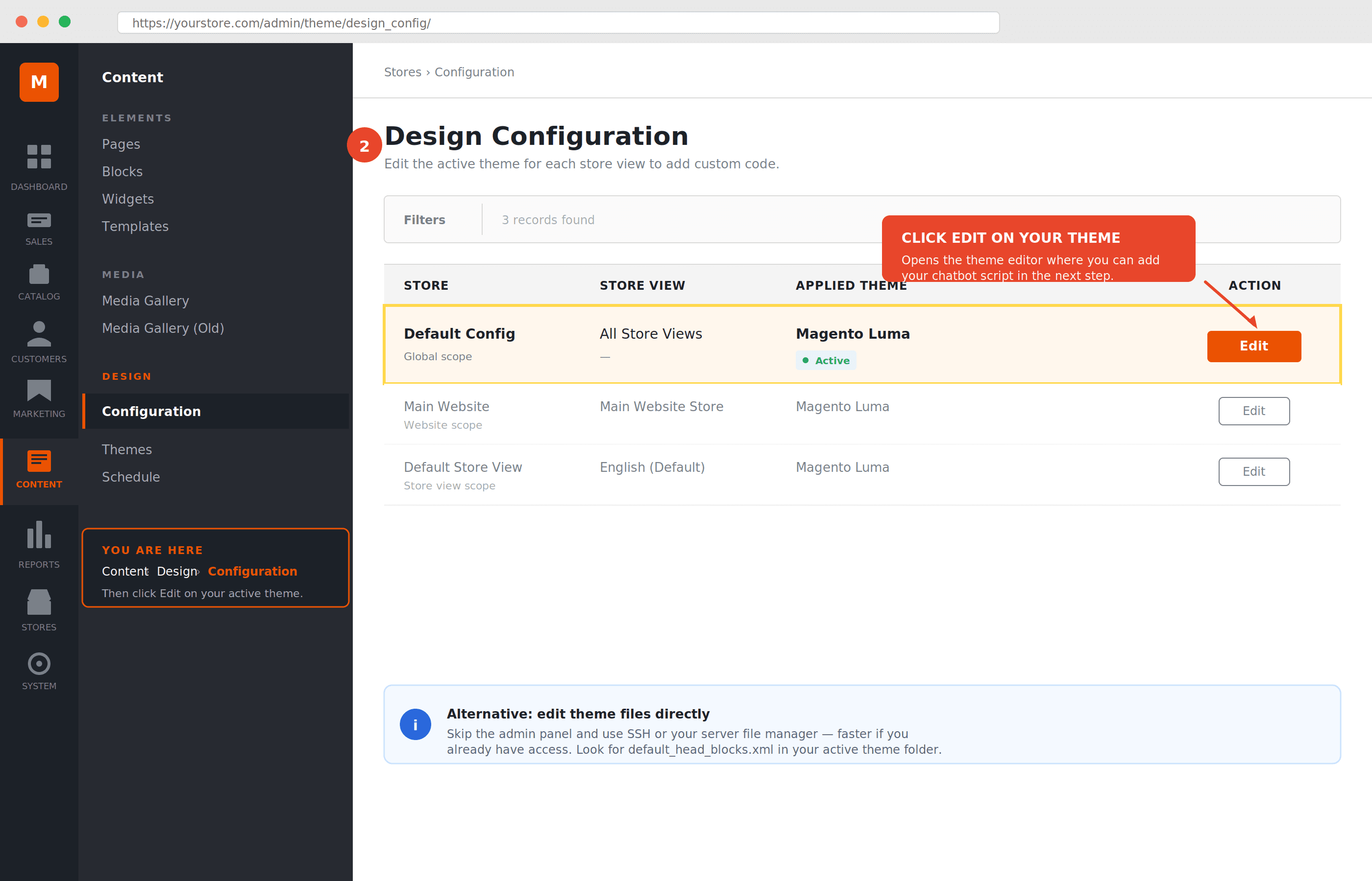  Access your Magento theme files for chatbot