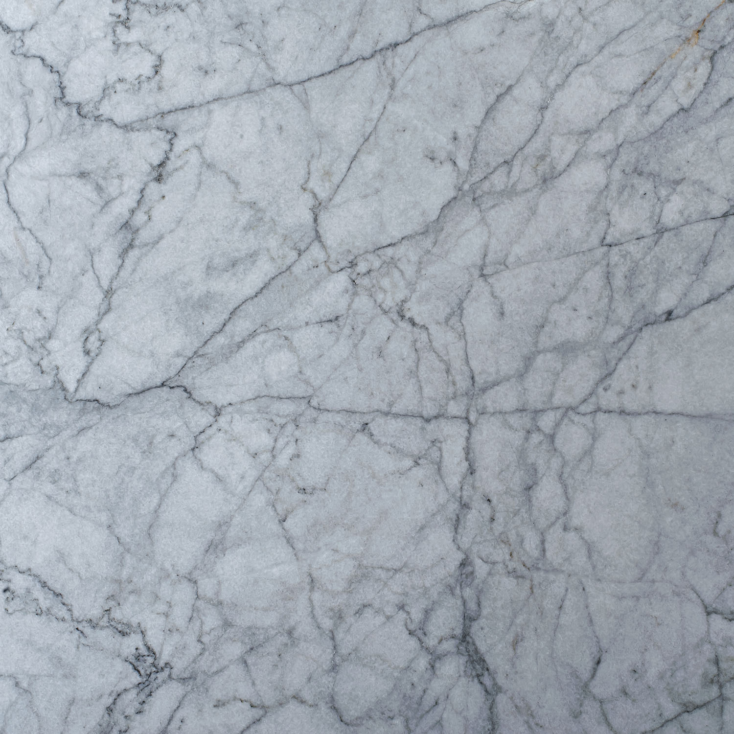 Fantasy White Marble fine veins