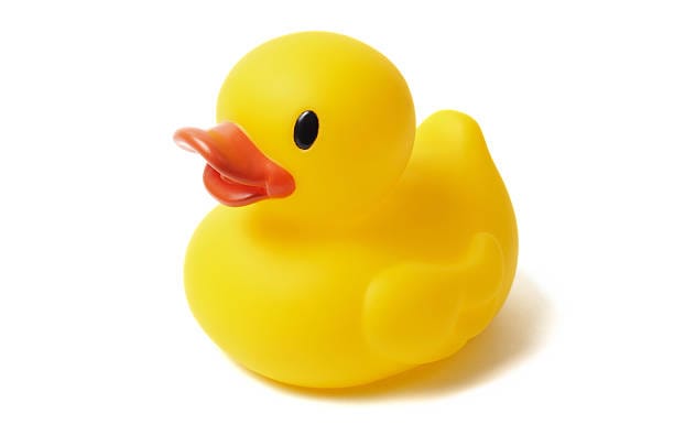 Rubber duck